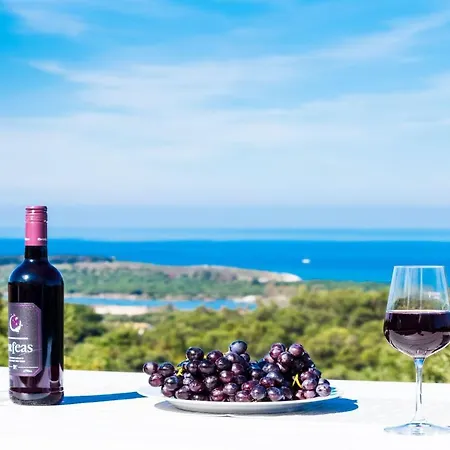 Villa Arete By Posarellivillas Peritheia